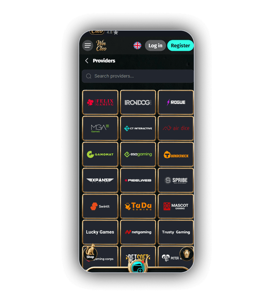 WinCleo Providers page with a search field and logo tiles for Felix Gaming, Irondog, Thunderkick, Spribe, TaDa Gaming, BetSoft and more